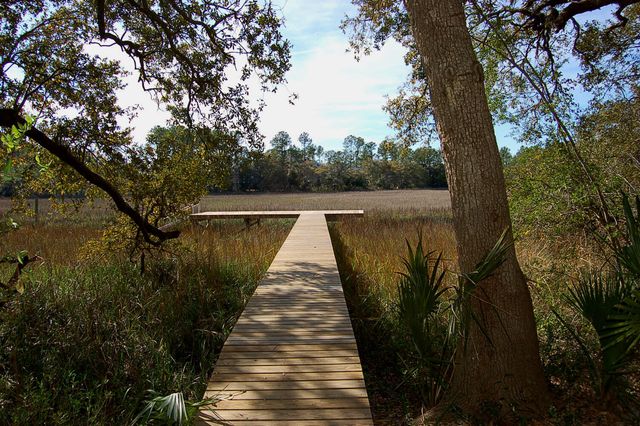 364 Evian Way, Mount Pleasant, SC 29464