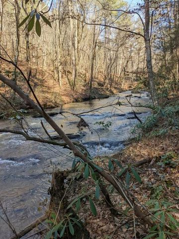 0 Dell Moore, Lot 3 Road, Marble Hill, GA 30148