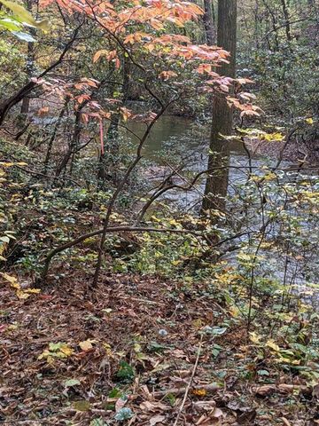 0 Dell Moore, Lot 3 Road, Marble Hill, GA 30148
