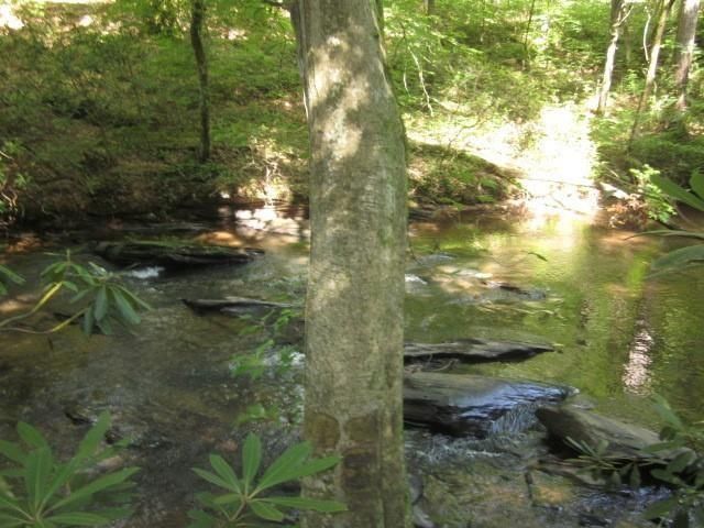 0 Dell Moore, Lot 3 Road, Marble Hill, GA 30148