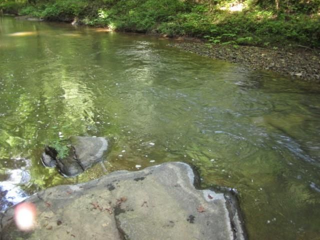 0 Dell Moore, Lot 3 Road, Marble Hill, GA 30148