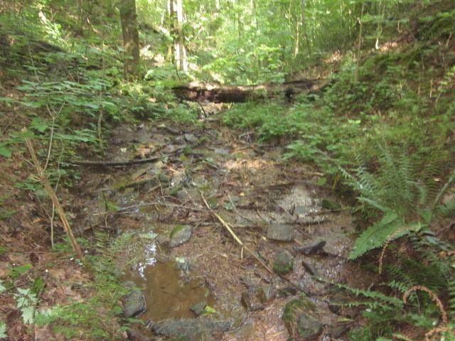0 Dell Moore, Lot 3 Road, Marble Hill, GA 30148