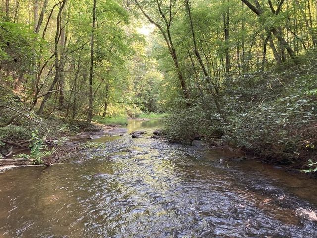 0 Dell Moore, Lot 3 Road, Marble Hill, GA 30148