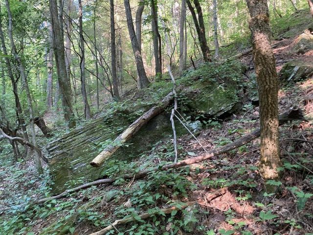 0 Dell Moore, Lot 3 Road, Marble Hill, GA 30148