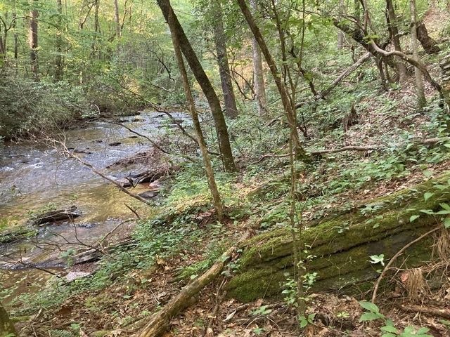 0 Dell Moore, Lot 3 Road, Marble Hill, GA 30148