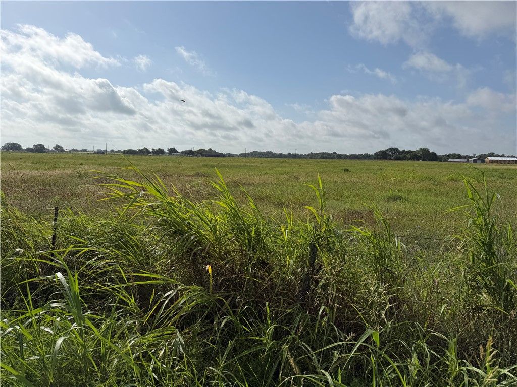 000 TBD County Road 273, Snook, TX 77878 — photo 2