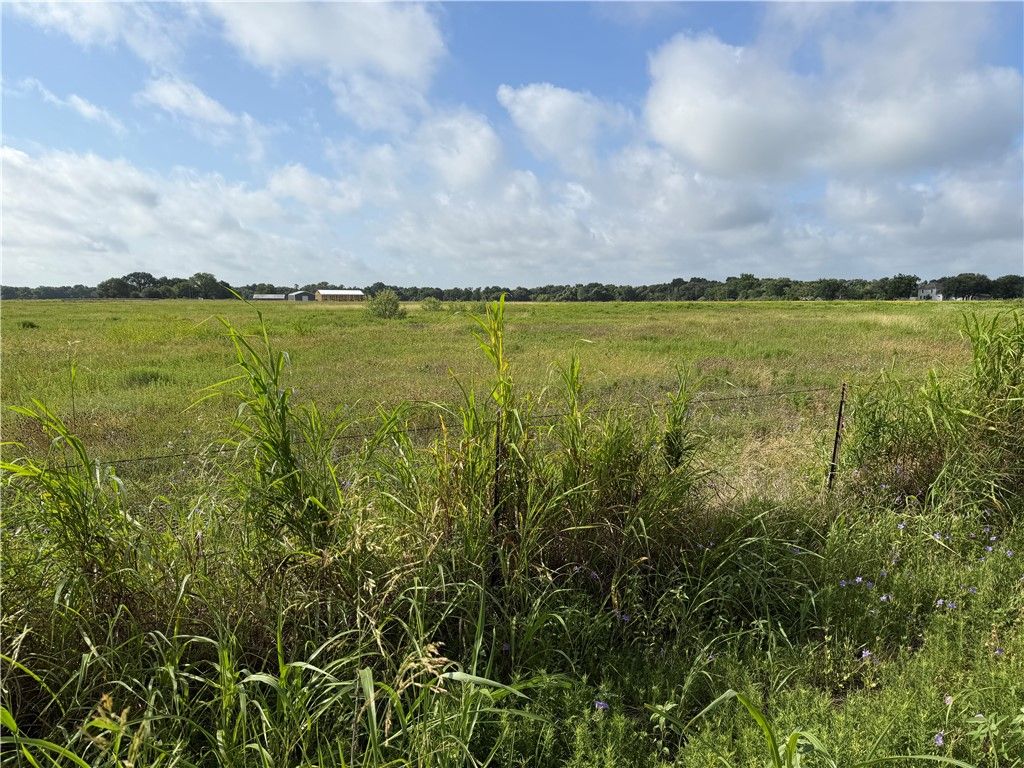 000 TBD County Road 273, Snook, TX 77878 — photo 3