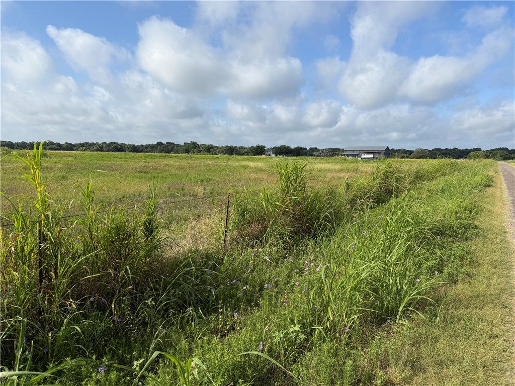 000 TBD County Road 273, Snook, TX 77878 — photo 4