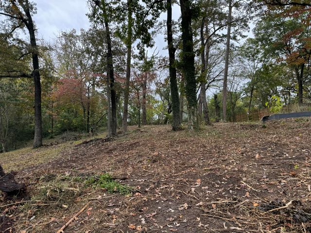 221 W Ridgewood Avenue, Chattanooga, TN 37415