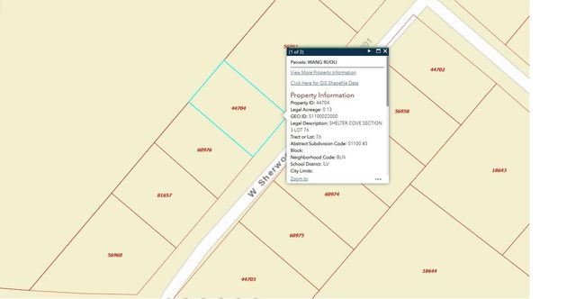 145 W Sherwood Drive, Livingston, TX 77351