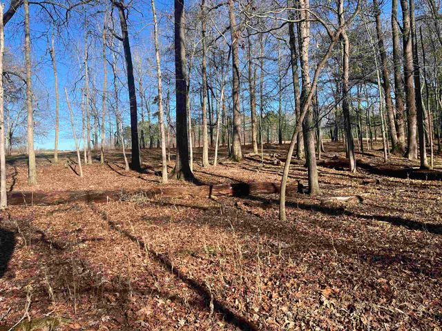 00 Woods Farm Rd., Chesnee, SC 29323