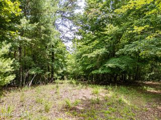 2 Stormy Ridge, Brasstown, NC 28902