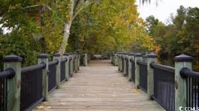 1069 Cherrystone Loop, Conway, SC 29526