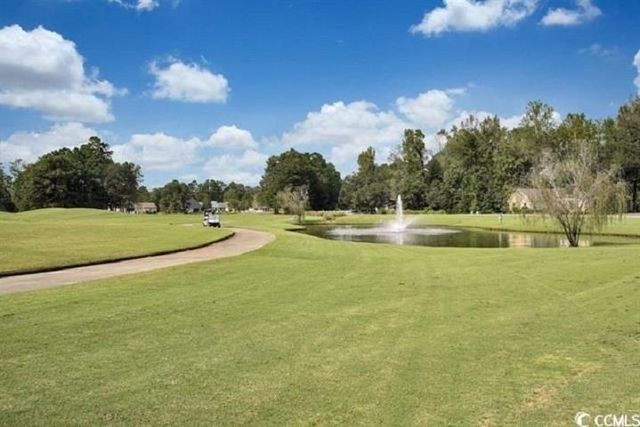 1069 Cherrystone Loop, Conway, SC 29526