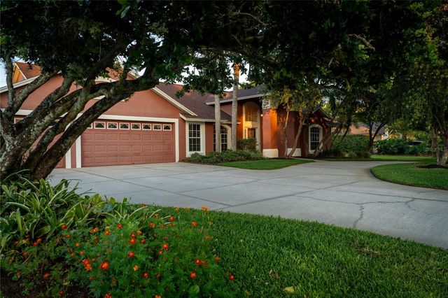 17005 EQUESTRIAN TRAIL, Odessa, FL 33556
