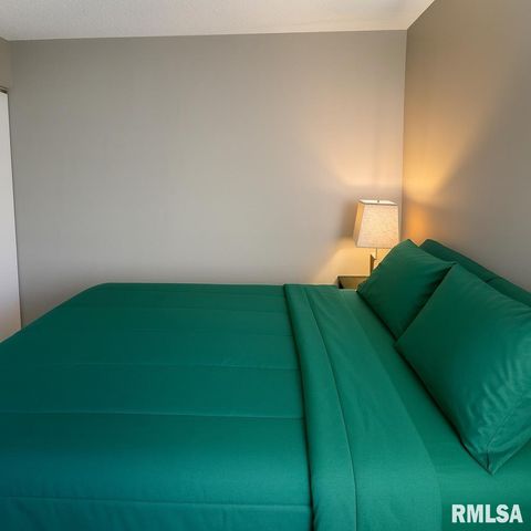 2626 W Willowlake Dr Apt 424, Peoria, IL 61614