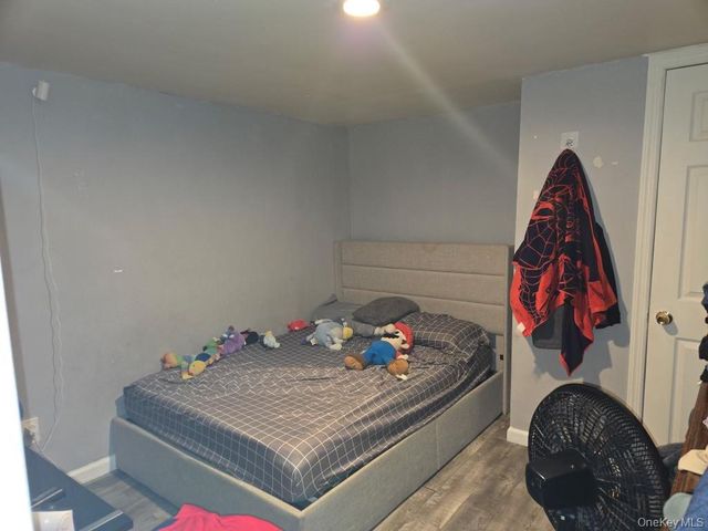 94 Lucille Avenue, Elmont, NY 11003