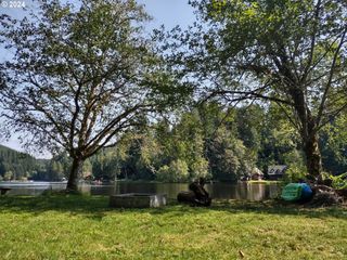71364 N SHORE Dr, Birkenfeld, OR 97016