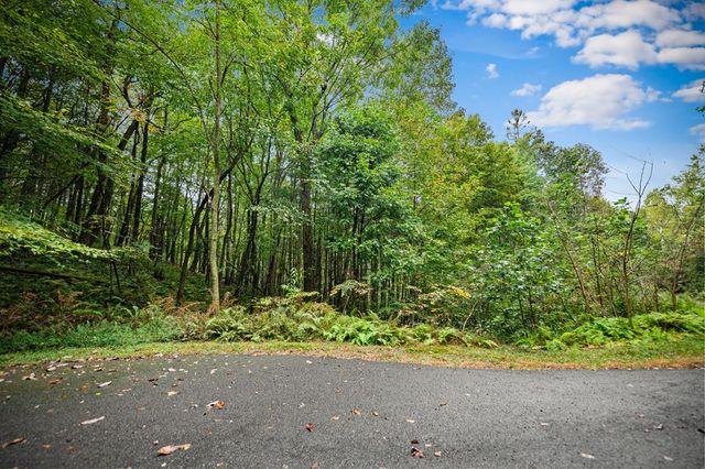 Lot 16 Buckskin Drive, Blue Ridge, GA 30513