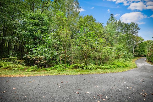 Lot 16 Buckskin Drive, Blue Ridge, GA 30513
