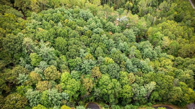 Lot 16 Buckskin Drive, Blue Ridge, GA 30513
