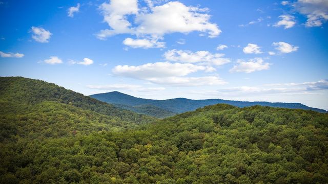Lot 16 Buckskin Drive, Blue Ridge, GA 30513