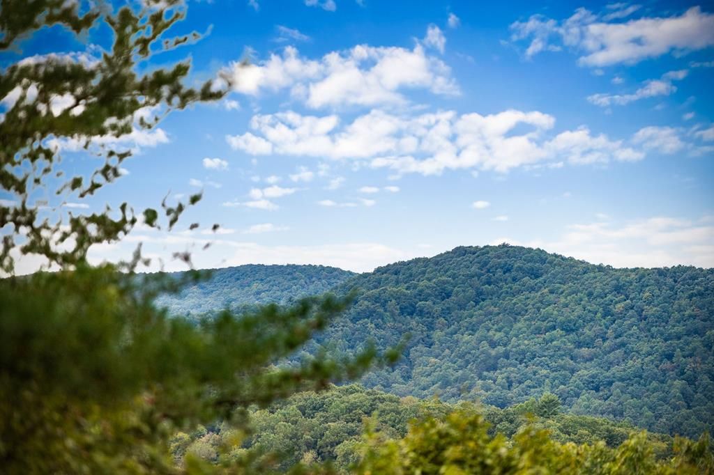 Lot 16 Buckskin Drive, Blue Ridge, GA 30513