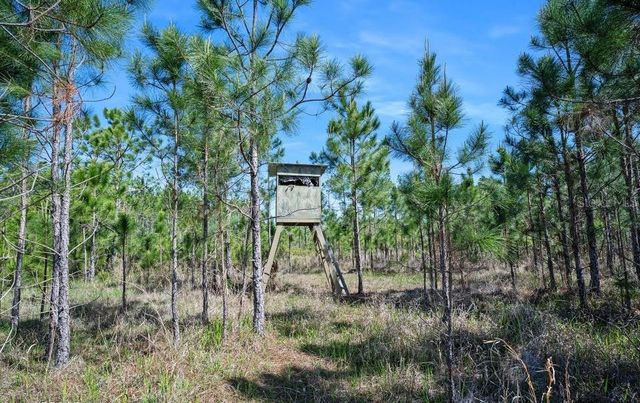 0 CARTER STREET, Bunnell, FL 32110