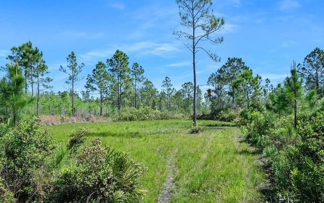 0 CARTER STREET, Bunnell, FL 32110