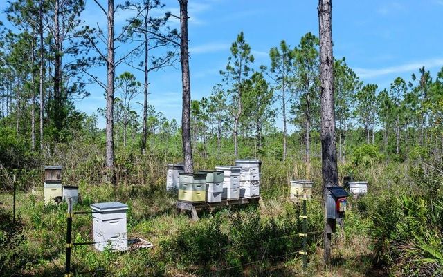 0 CARTER STREET, Bunnell, FL 32110