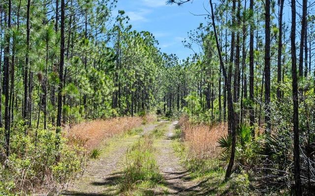 0 CARTER STREET, Bunnell, FL 32110