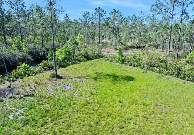 0 CARTER STREET, Bunnell, FL 32110