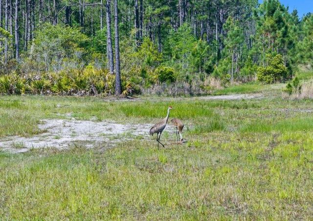 0 CARTER STREET, Bunnell, FL 32110