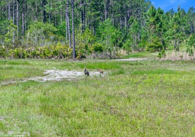0 CARTER STREET, Bunnell, FL 32110