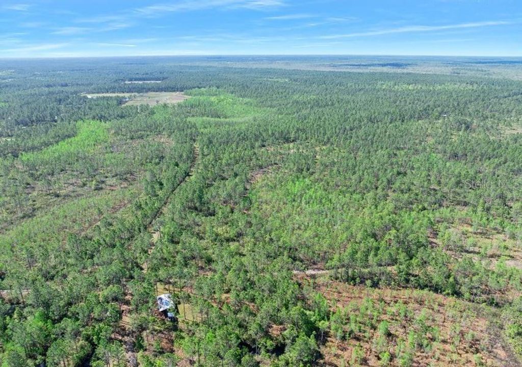 0 CARTER STREET, Bunnell, FL 32110