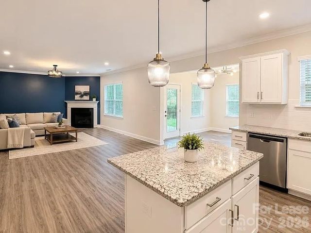 19108 Yellow birch Drive, Charlotte, NC 19108