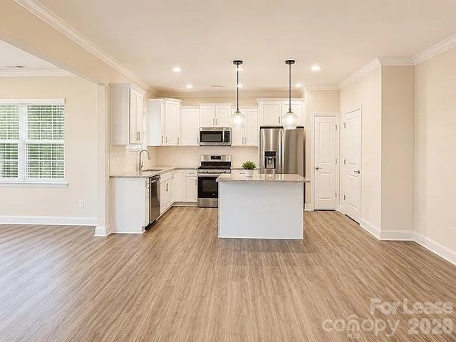 19108 Yellow birch Drive, Charlotte, NC 19108