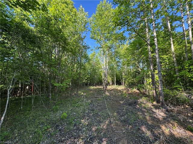Tract 3 River Rd Liberty Grove Road, North Wilkesboro, NC 28659