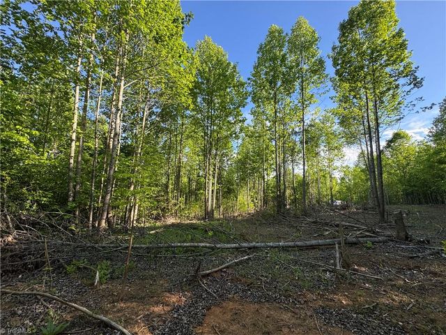 Tract 3 River Rd Liberty Grove Road, North Wilkesboro, NC 28659