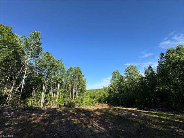 Tract 3 River Rd Liberty Grove Road, North Wilkesboro, NC 28659