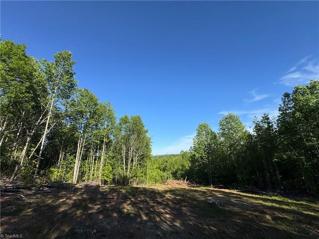 Tract 3 River Rd Liberty Grove Road, North Wilkesboro, NC 28659