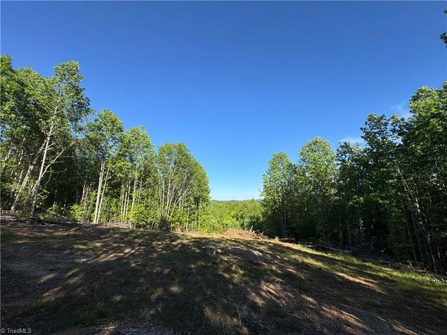 Tract 3 River Rd Liberty Grove Road, North Wilkesboro, NC 28659