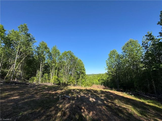 Tract 3 River Rd Liberty Grove Road, North Wilkesboro, NC 28659