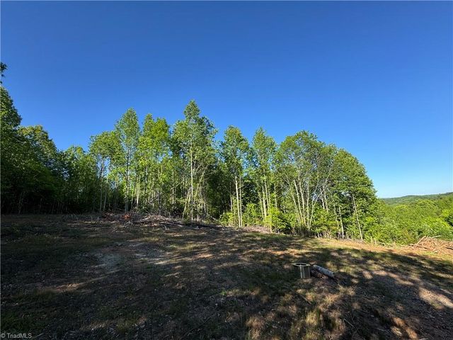 Tract 3 River Rd Liberty Grove Road, North Wilkesboro, NC 28659