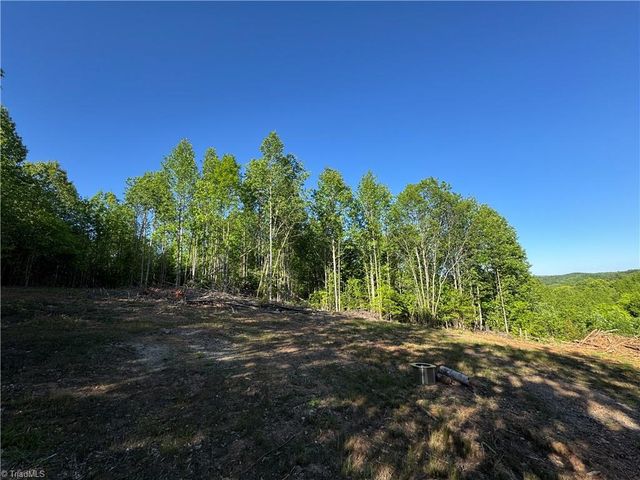 Tract 3 River Rd Liberty Grove Road, North Wilkesboro, NC 28659