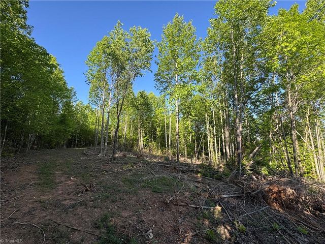 Tract 3 River Rd Liberty Grove Road, North Wilkesboro, NC 28659