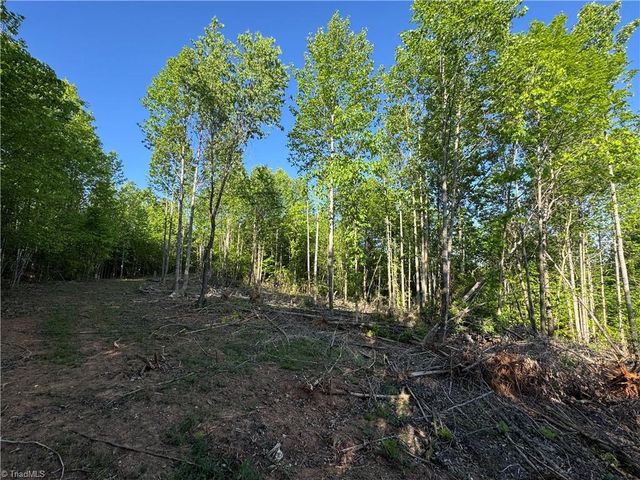 Tract 3 River Rd Liberty Grove Road, North Wilkesboro, NC 28659