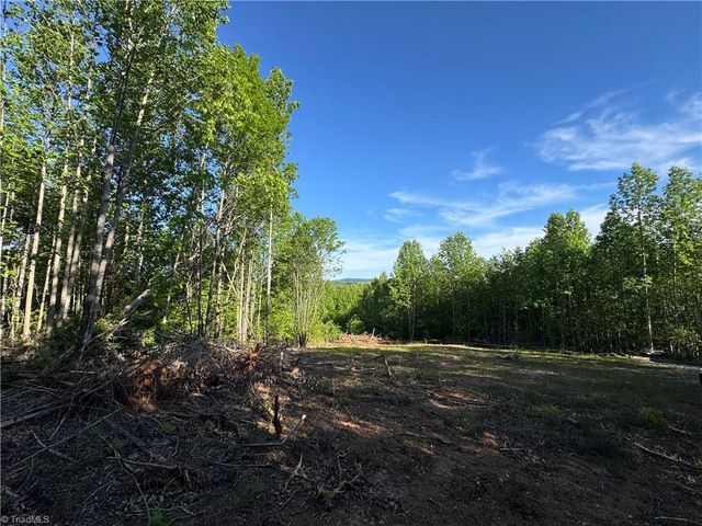 Tract 3 River Rd Liberty Grove Road, North Wilkesboro, NC 28659