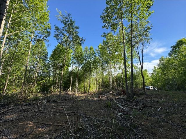 Tract 3 River Rd Liberty Grove Road, North Wilkesboro, NC 28659