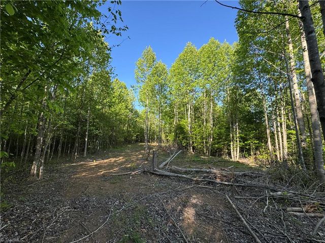 Tract 3 River Rd Liberty Grove Road, North Wilkesboro, NC 28659